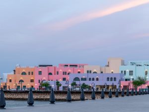 Mina District